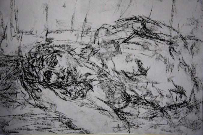 within the marks IMG_0692