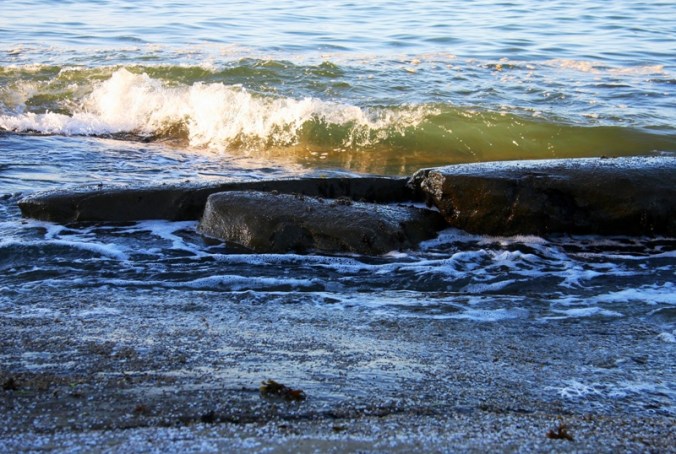 catch me done IMG_1531