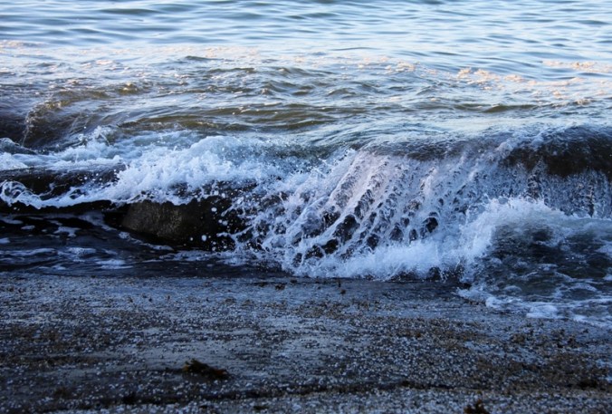 wave 6 done IMG_1552