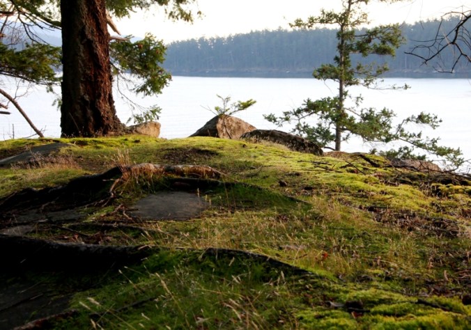 towards the view by Terrill Welch