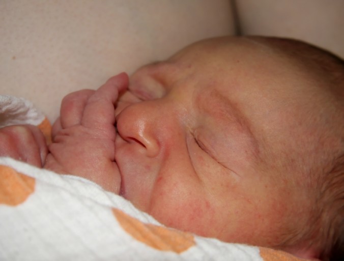 6 Coen almost 2 days old by Terrill Welch