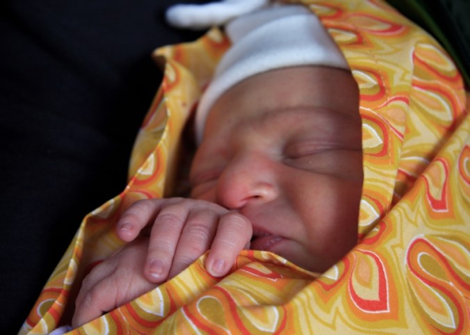 7 pea in a pod coen 2 days old by Terrill Welch