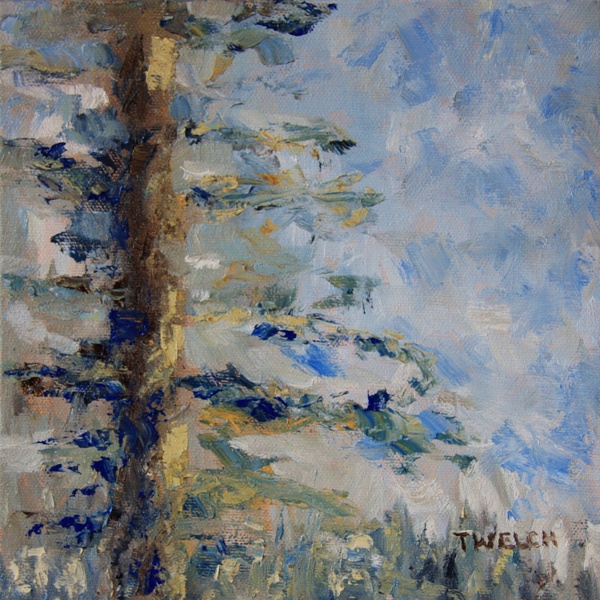 fir tree sky original oil painting by Terrill Welch IMG_9778