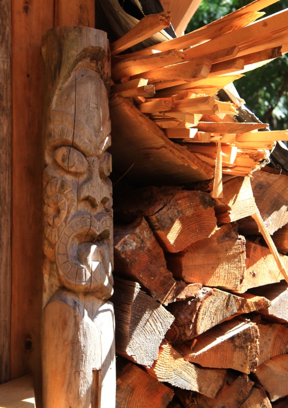 guard for woodpile by Terrill Welch IMG_4177