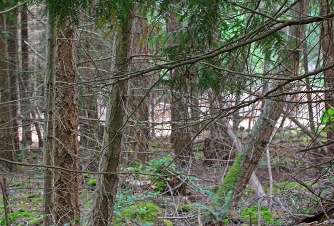 be still by Terrill Welch IMG_7525