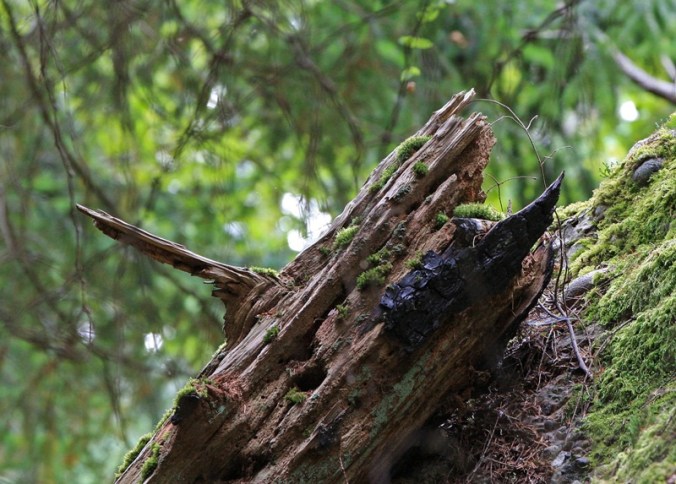 history in evidence by Terrill Welch IMG_7523