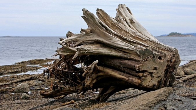 not long now by Terrill Welch IMG_6726