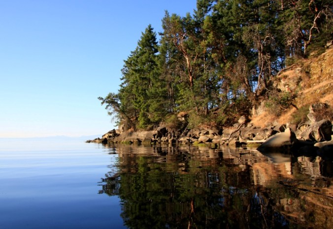 September Calm Pacific Ocean by Terrill Welch IMG_6119