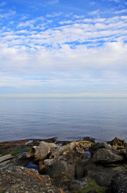 an ordinary day by Terrill Welch IMG_4462