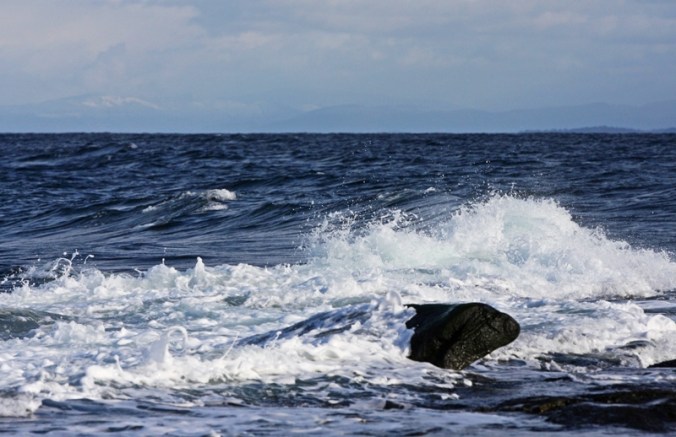 Put to bed by the sea by Terrill Welch IMG_6529