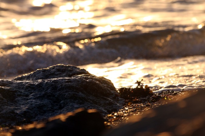 where we are by Terrill Welch 2013_01_01 104