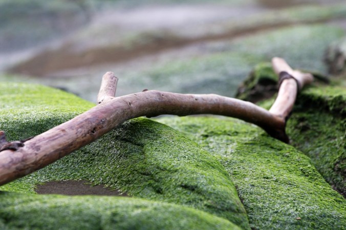 another layer by Terrill Welch 2013_02_01 444