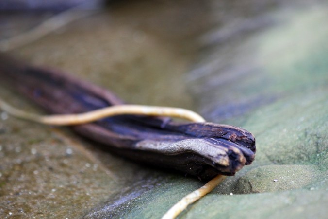 Drifting by Terrill Welch 2013_02_01 452