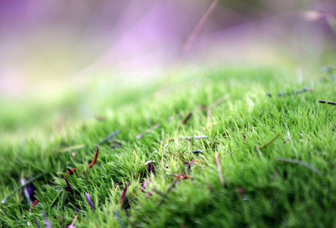 Take time to notice the little things by Terrill Welch 2013_02_08 233