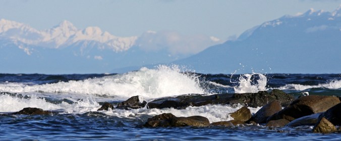 West Coast Blues Oyster Bay Mayne Island by Terrill Welch 2013_03_03 229