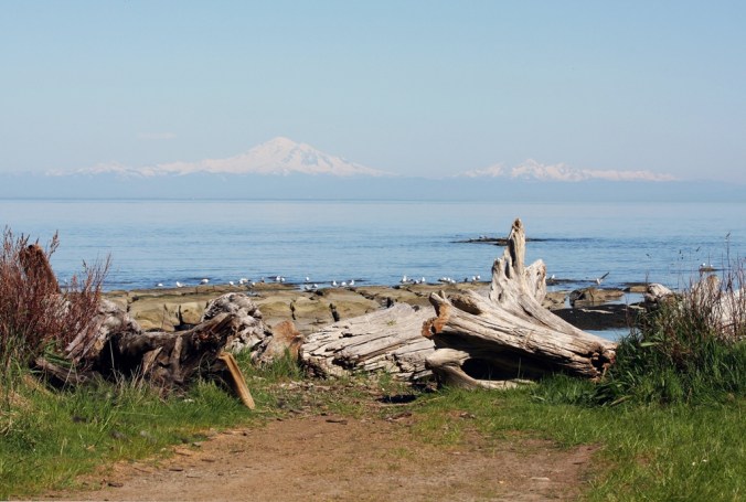 By the Sea by Terrill Welch 2013_05_06 006