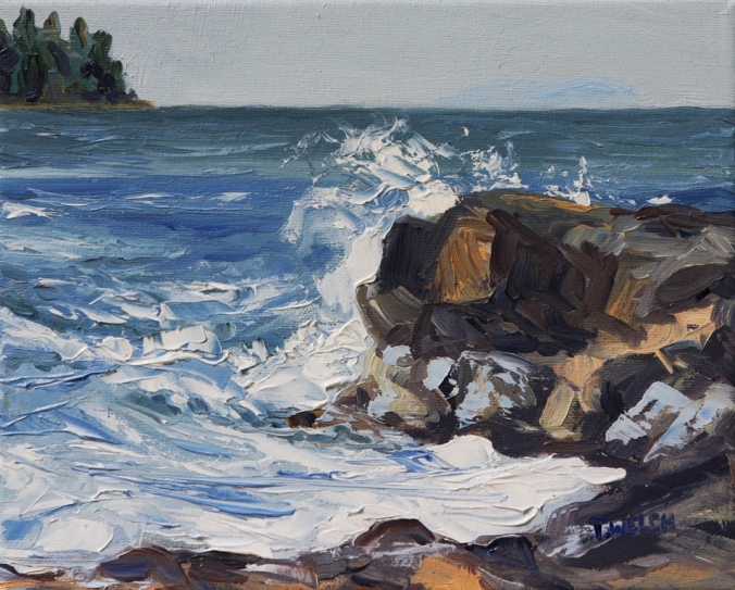 12 End of Storm Georgina Point Mayne Island 8 x 10 oil on canvas by Terrill Welch 2013_06_25 017