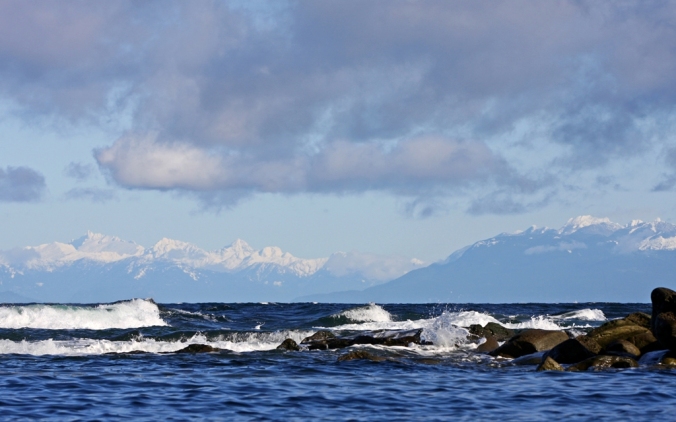4 West Coast Blues rolling waves Oyster Bay Mayne Island by Terrill Welch 2013_03_03 094
