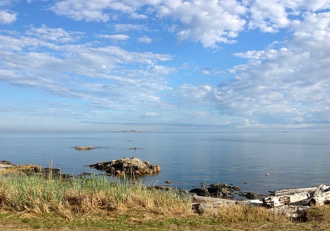 Cattle Point with iPad by Terrill Welch 2013_09_03