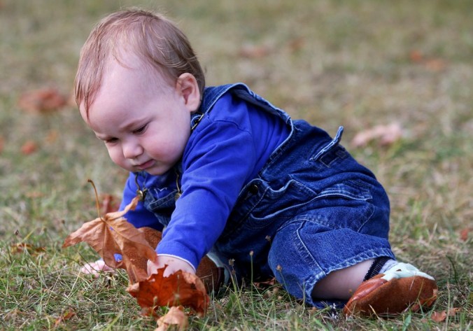 Ivor meets his first fall leaves by Terrill Welch 2013_08_28 070