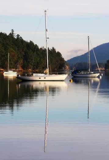 Horton Bay Mayne Island by Terrill Welch 2013_12_26 089