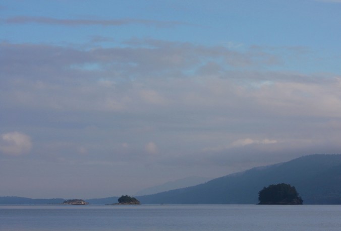 A January west coast afternoon  by Terrill Welch 2014_01_18 025