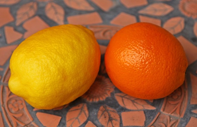 lemons larger than a large orange by Terrill Welch 2014_04_25 126