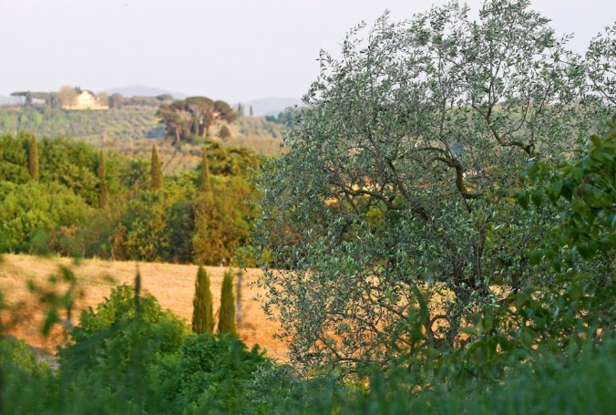 end of the day in south Florence by Terrill Welch 2014_04_24 024