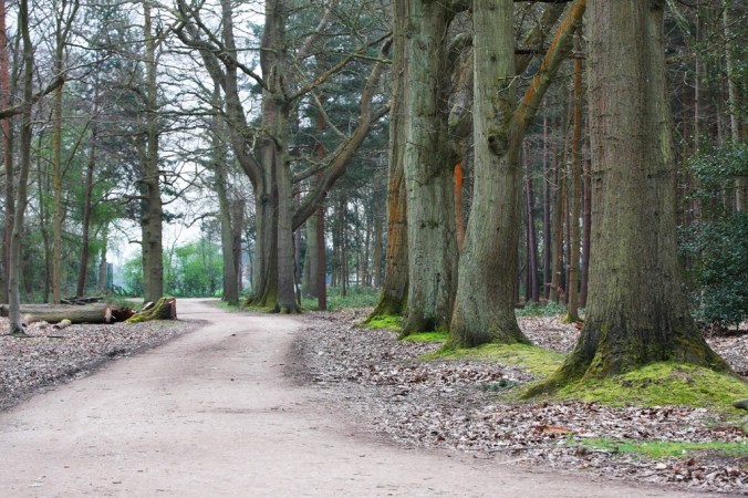 Near the Pinewood Film Studio in Black Park England by Terrill Welch 2014_04_04 043