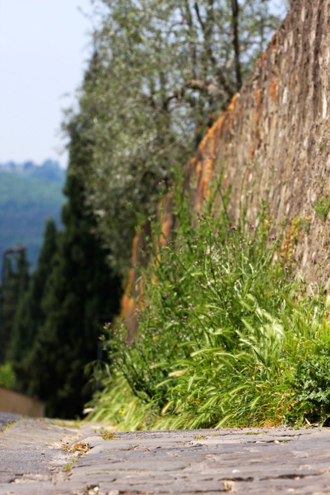 old via Romana by Terrill Welch 2014_04_24 063