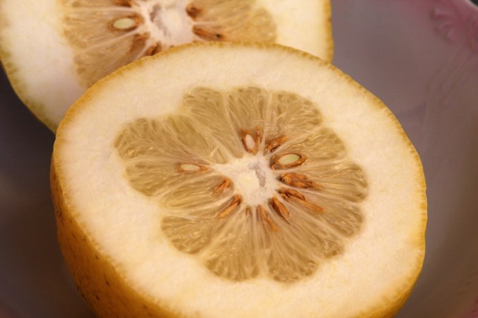 cedro cut in half by Terrill Welch 2014_05_01 006