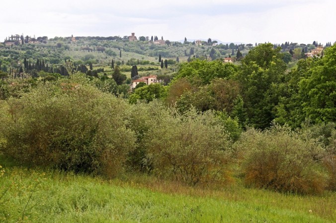 Florence countryside by Terrill Welch 2014_05_01 020