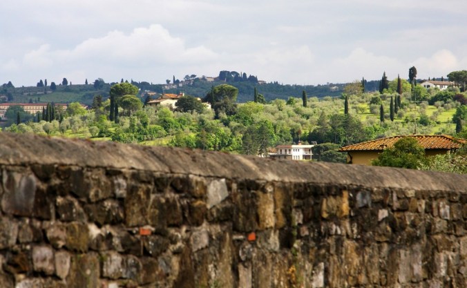 over the fence in Florence Italy  by Terrill Welch 2014_05_01 188