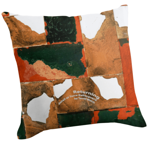 Throw Pillow Returning Large 20 x 20 inch by Terrill Welch