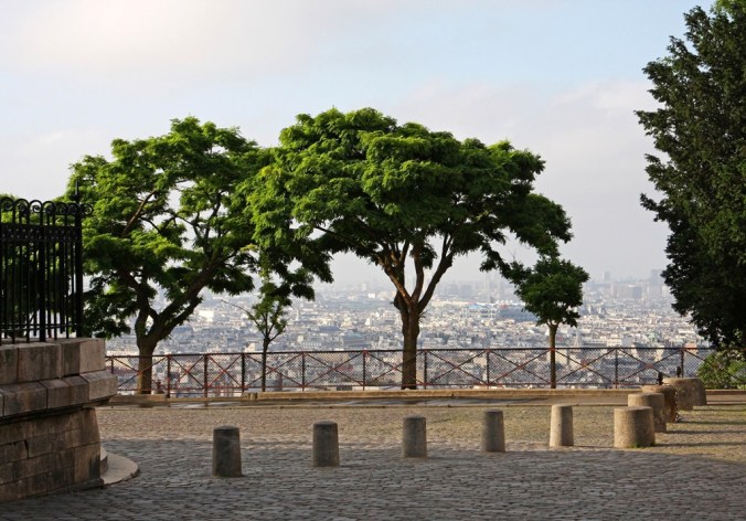 A Paris morning through the trees by Terrill Welch 2014_06_15 044