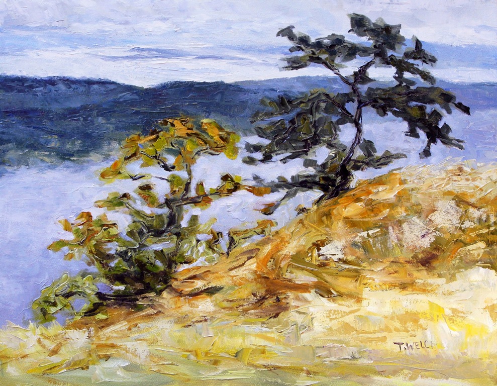 Garry Oaks on Brown Ridge 14 x 18 inch oil on canvas contemporary Canadian landscape art by Terrill Welch 2014_09_15 025