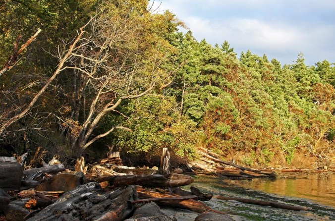 Bennett Bay Mayne Island breaking at evening by Terrill Welch 2014_10_31 045