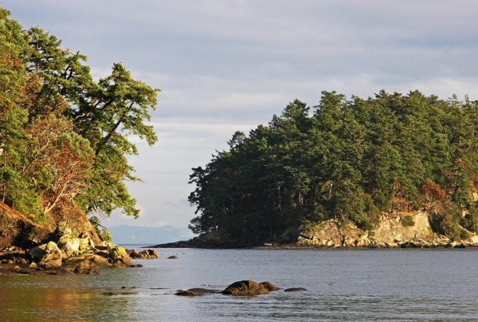 The Place Between in Bennett Bay Mayne Island by Terrill Welch 2014_10_31 040