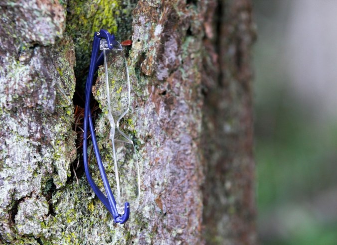 eye level by Terrill Welch 2015_01_15 166