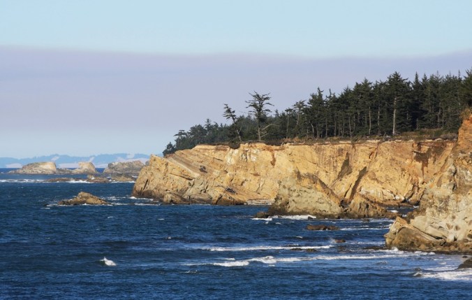 Cape Arago Oregon by Terrill Welch 2015_02_23 387