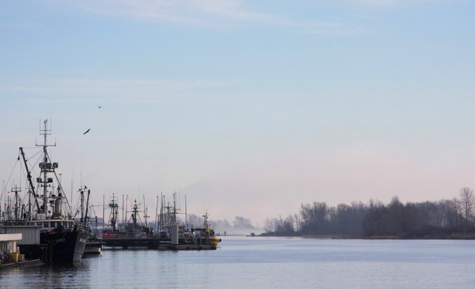 Morning Fog Lifting in Steveston B.C.  by Terrill Welch 2015_01_26 231