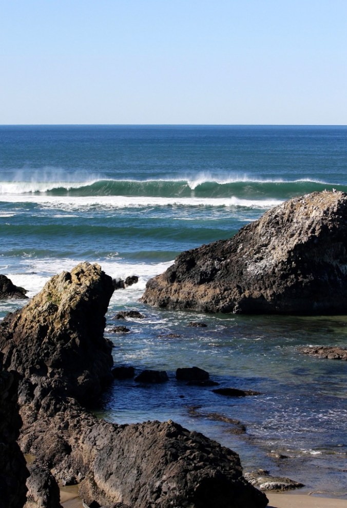 Seal Rock Oregon by Terrill Welch 2015_02_23 340