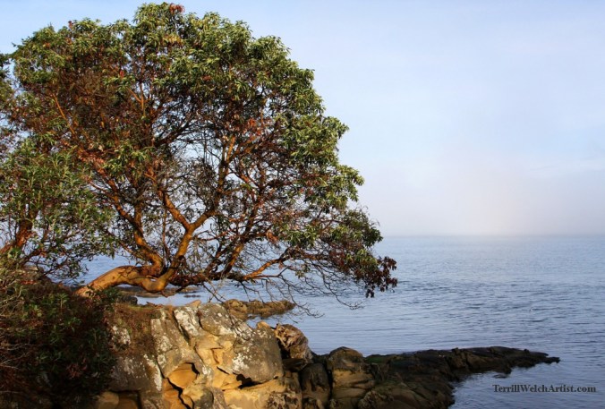 Slivers of Moments by Terrill Welch 2015_01_30 022