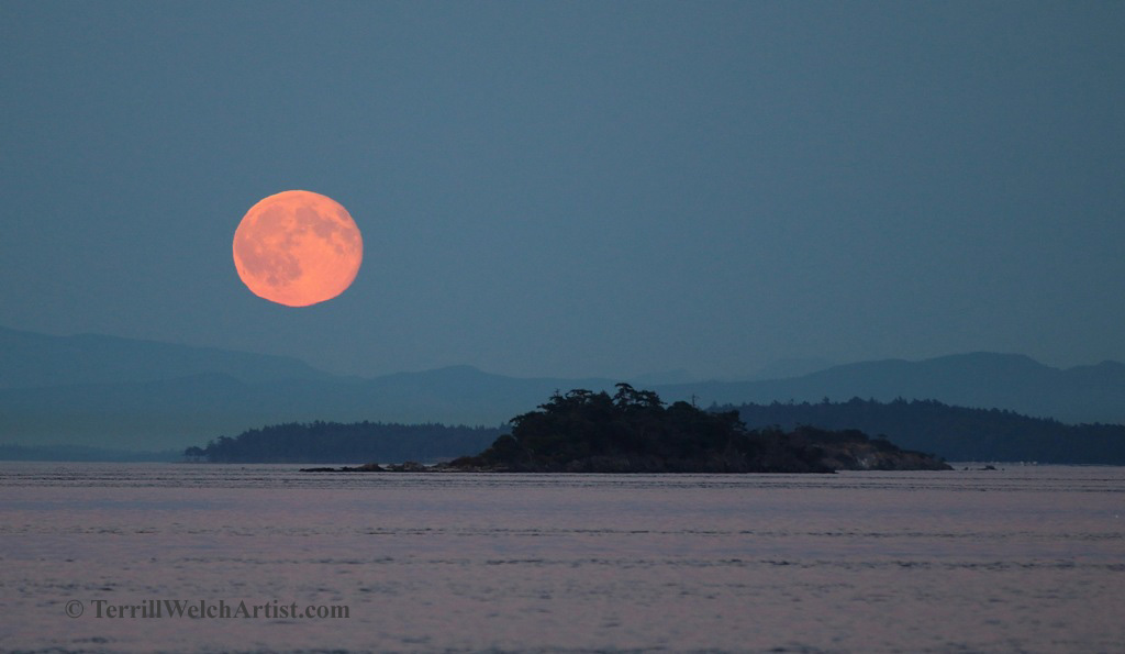 Mayne Island Blue Moon rise July 31 2015 by Terrill Welch 2015_07_31 170
