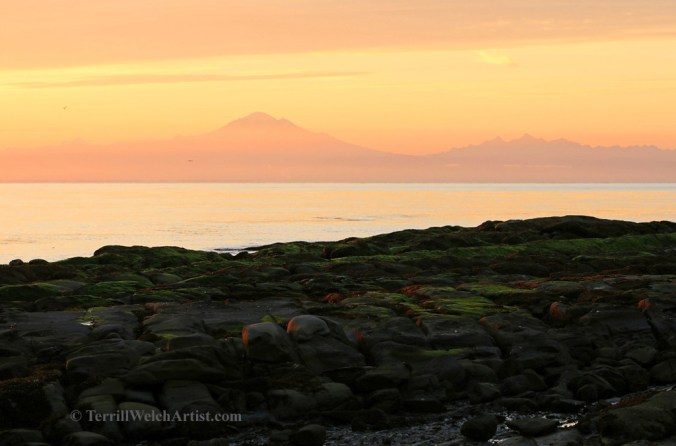 Mayne Island late August morning 1 by Terrill Welch 2015_08_25 001
