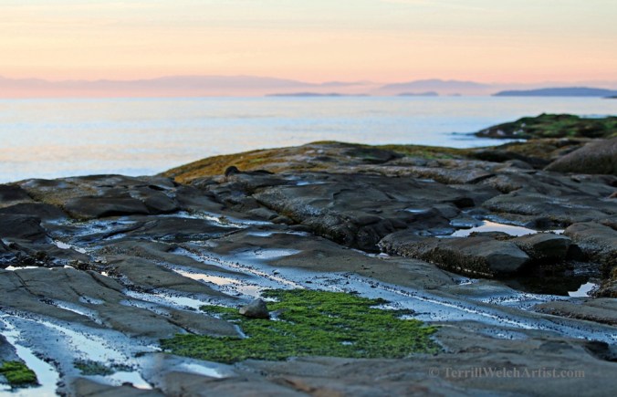 Mayne Island late August morning 2 by Terrill Welch 2015_08_25 016