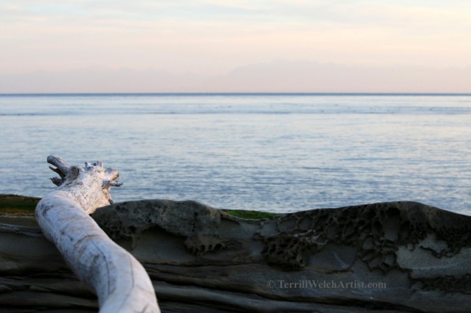 Mayne Island late August morning 4 by Terrill Welch 2015_08_25 039