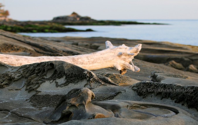 Mayne Island late August morning 5 by Terrill Welch 2015_08_25 046