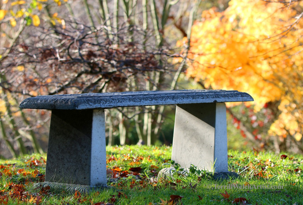 Have a Seat by Terrill Welch 2015_11_26 012