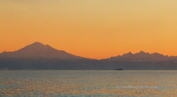 Across the Way New Year's Day Sunrise 2016 by Terrill Welch 2016-01-01  IMG_7206